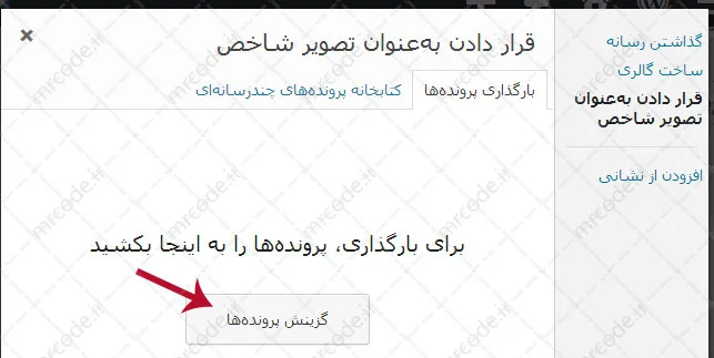 گزینش پرونده ها در وردپرس