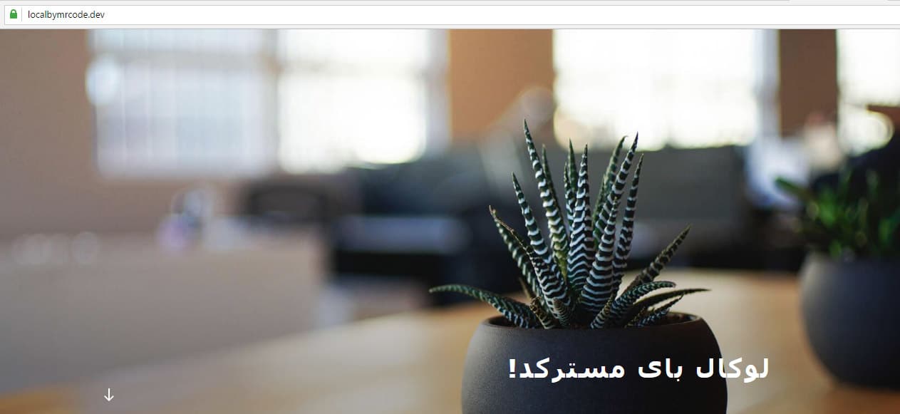 وردپرس لوکال راه اندازی شده با فلای ویل